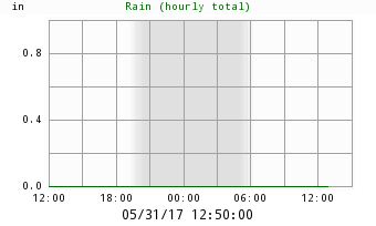 Rain (hourly total) Chart