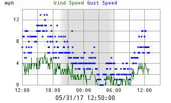 Wind Speed & Wind Gust Chart